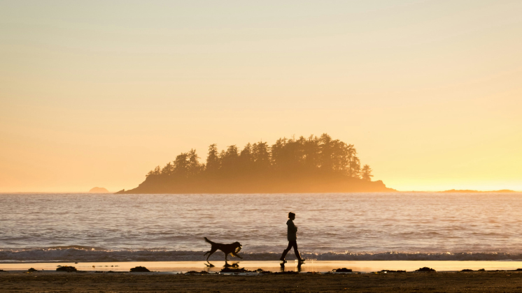 golden hour