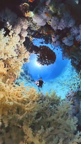 insta360