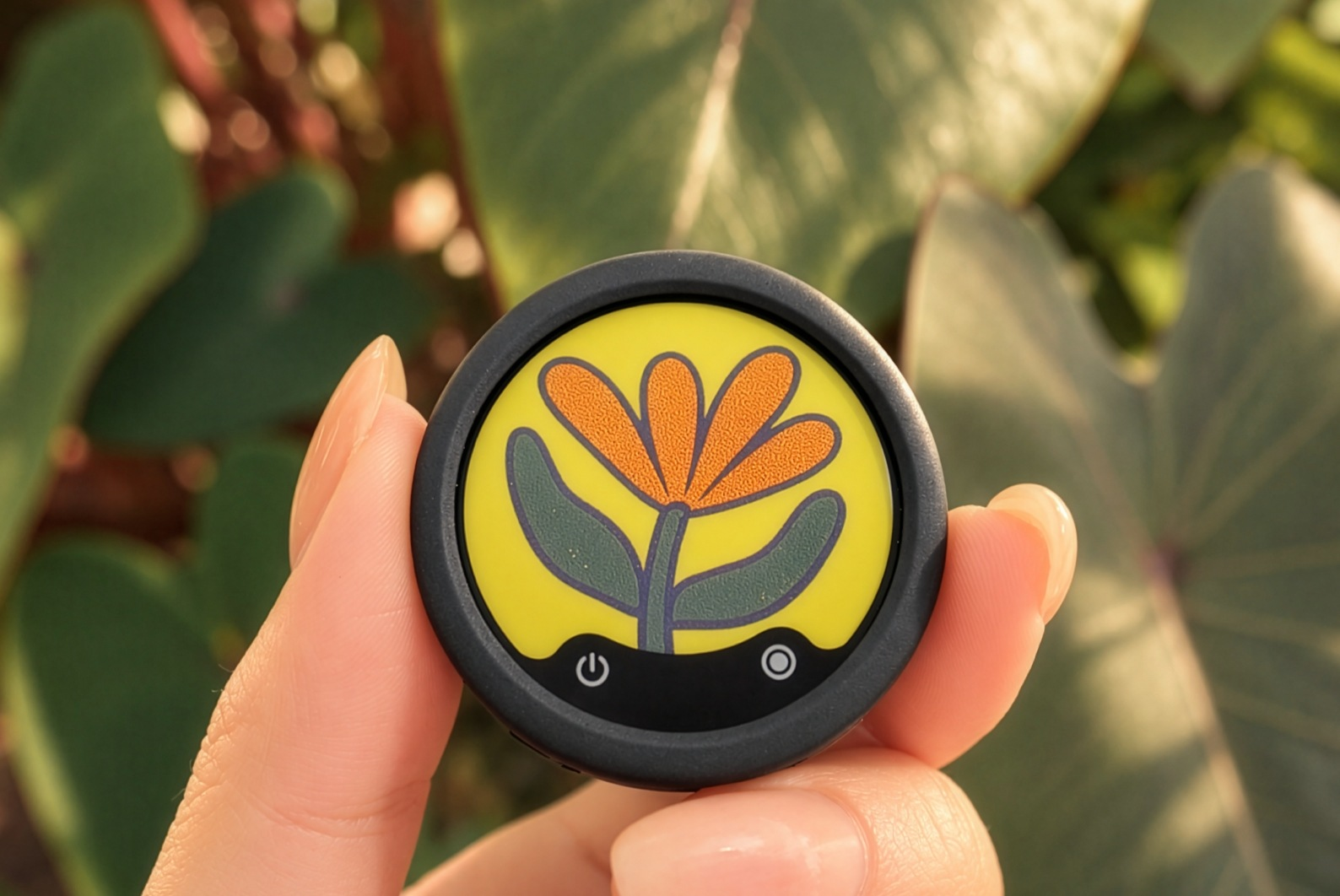 insta360