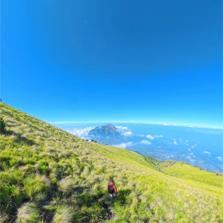 insta360