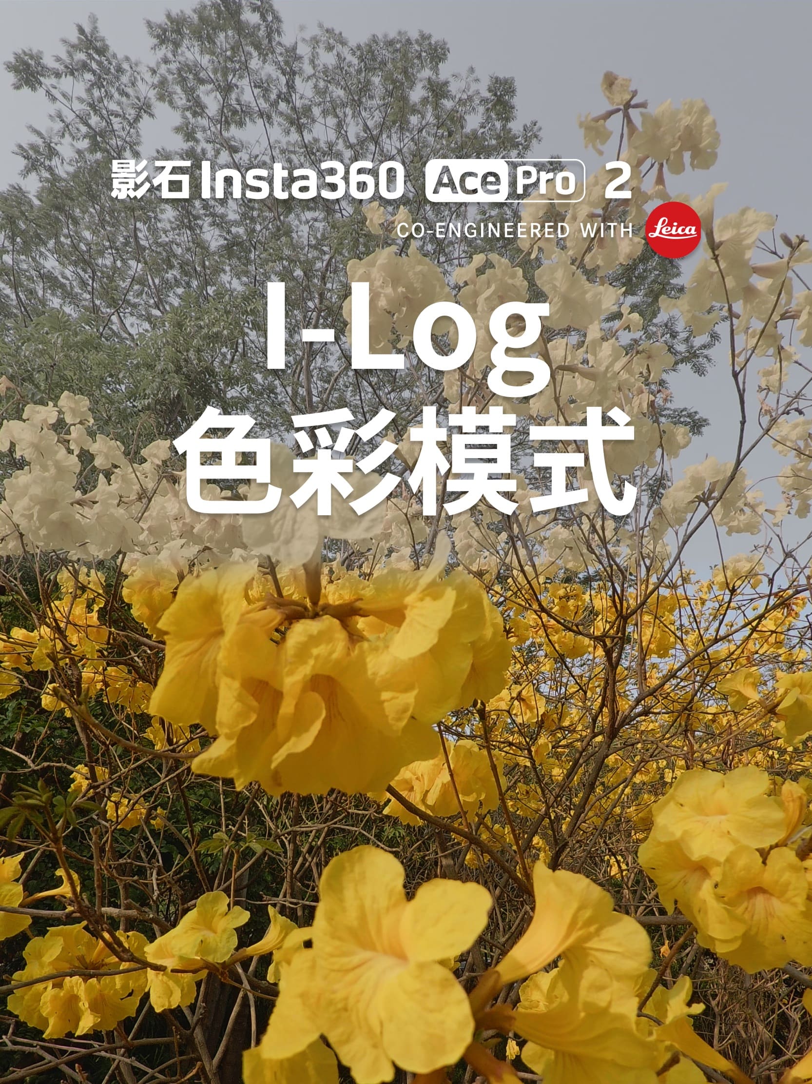 Ace Pro 2 I-Log色彩模式