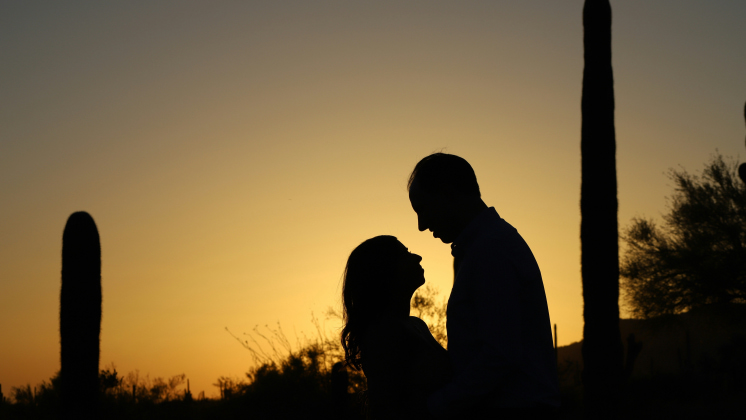 Golden hour silhouettes — engagement session inspiration