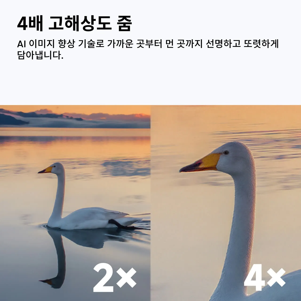 제품 이미지 4