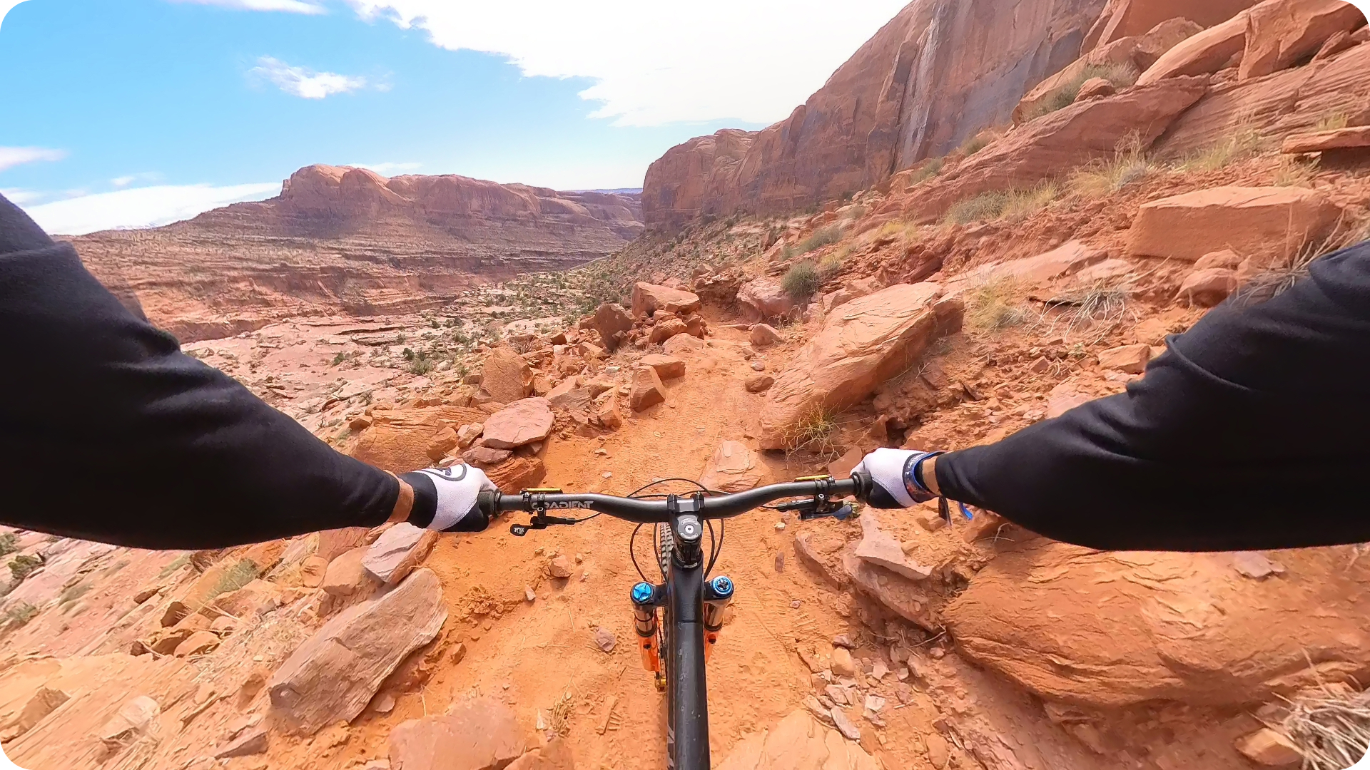 Bring them along for the ride.
