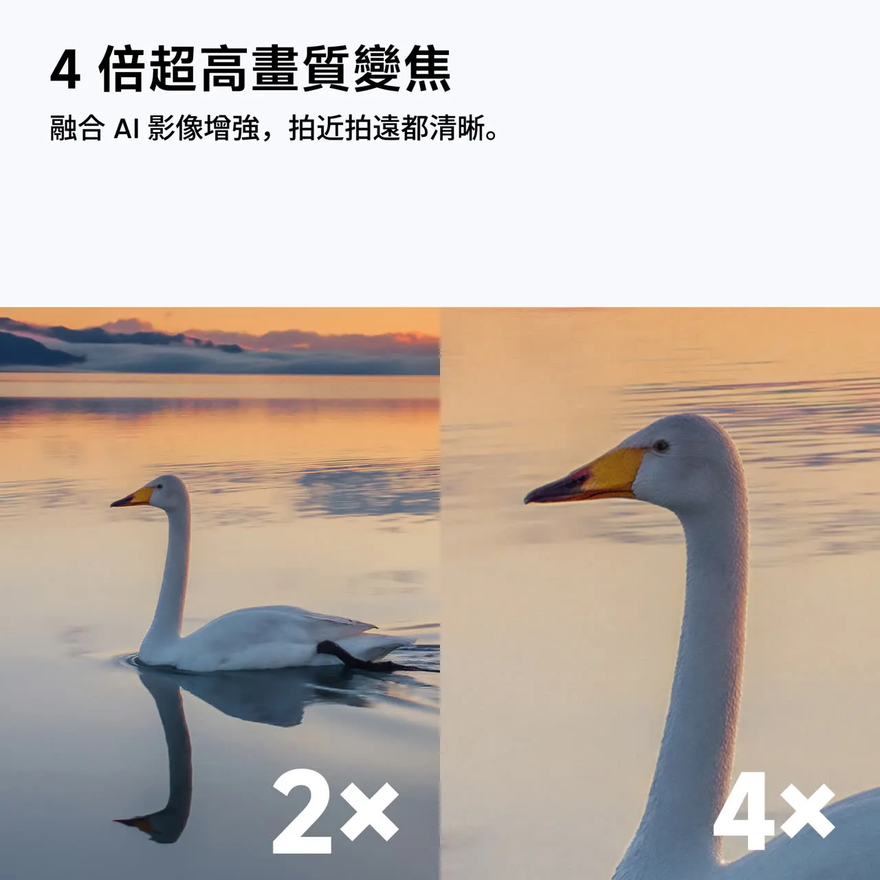 產品圖片 4