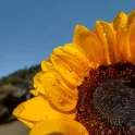 Product content thumbnail 5