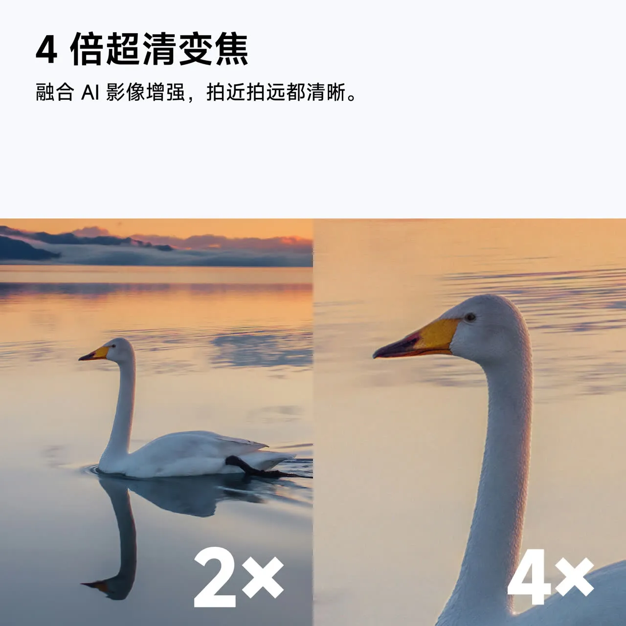 产品图片 4